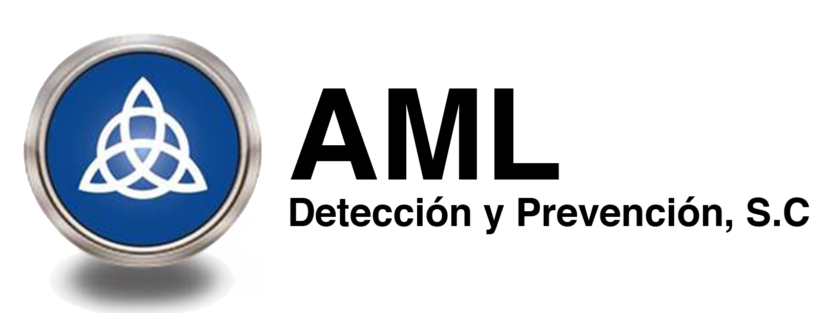 AML-Detección y Prevención Logo
